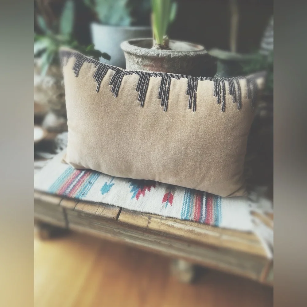 Beaded Cotton Velvet Pillow